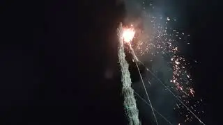 Festa do Foli&oacute;n das Fachas, Vilelos, Savi&ntilde;ao 