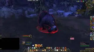 Blackpaw | 8.1 Darkshore Rare Elite