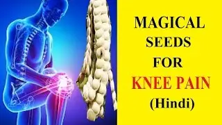 BENEFIT OF BABOOL SEED FOR KNEE (joint) PAIN & CURE in Hindi
