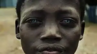 Meditative Walk in the Ethiopian Forest | Classical Music for Relaxation