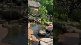 Beautiful Planted Goldfish Pond
