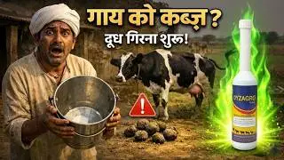 Constipation in Animals Explained | Symptoms, Losses & DYZAGRO Liquid Action #akharvzoocare #dyzagro