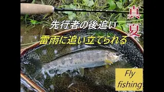 先行者の後追い、雷雨に追い立てられ！真夏のフライフィッシング