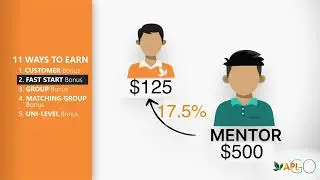 Summary APLGO Compensation Plan