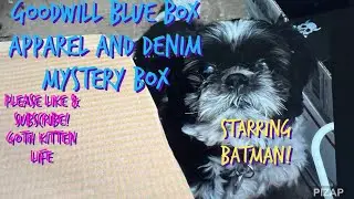 Goodwill Blue Box|Apparel & Denim Mystery Box|Review