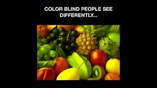 How Color Blind People See the World?