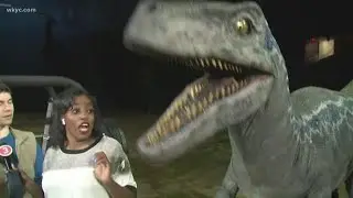 Dinosaur scares reporter at 'Jurassic World' Live Tour