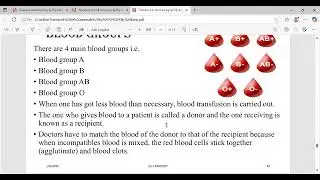 blood group system for humans
