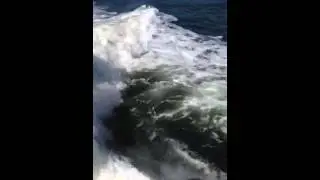 San Carlos Bay - Florida