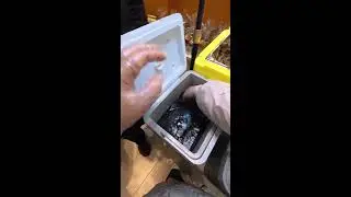 Amazing Chinese Street Food LIVE 🇨🇳 Master Cooking Skills Sizzling Woks Relaxing Cooking Sounds ASMR