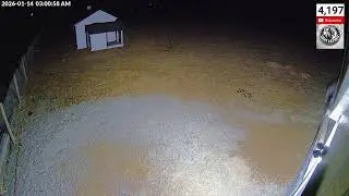 Live Farm Cams - Tuesday Night