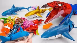 [🦈Toy ASMR🦈] Robo Fish & RC Shark & Mosasaurus | From Mini to Giant | Satisfying Unboxing