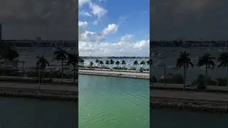 Freedom of the Seas Cruise, going to the Bahamas! #cruise #adventure #travel #trip #shorts
