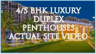 9888880919 JLPL Falcon View 4 BHK Pent House 5 BHK Pent House Falcon View Mohali Airport Road Mohali
