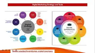 Digital Marketing Training: Sales, Traffic for Business Growth