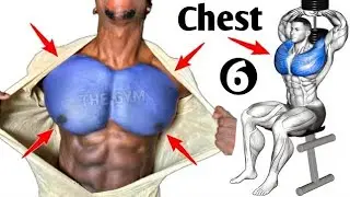 7 Best Dumbbell Chest Workouts for Massive Gains || Get a Bigger Chest Fast | Science-Based Workout 