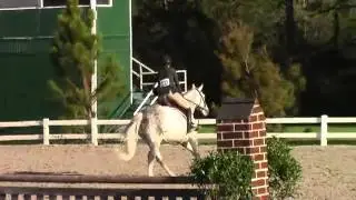 Video of GANDALF ridden by CATHERINE CHARTIER from ShowNet!