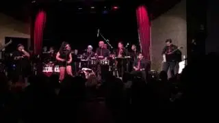 Alex Plays Grammy Winning Pacific Mambo Orchestra | Mr. 5.0