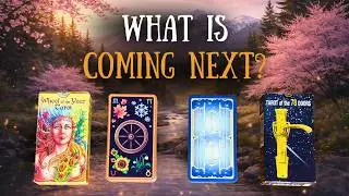 🔮 Pick a Card | Your Immediate Future