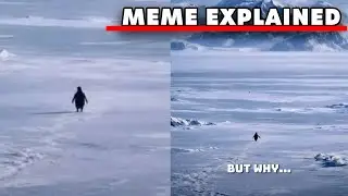 The &ldquo;Nihilist Penguin&rdquo; Meme Full Explanation