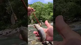 Pesca a SPINNING alla trota in torrente