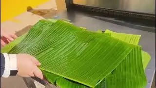 Banana Leaf Washer: High-Efficiency Cleaning Demo