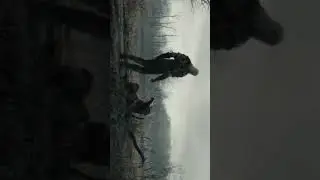 The witcher 3 wild hunt 🔞(fan made) full screen whatsapp status