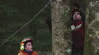VAUD AMBASSADEUR | BMEF SA entretient la for&ecirc;t avec respect