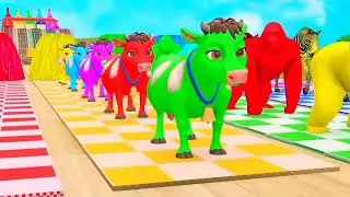 Long Slide with Cow lion hippo 