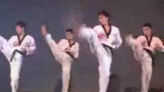 TAEKWONDO KOREAN TIGERS