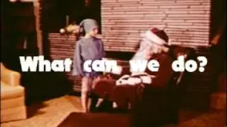 The Tremendous Seasons - The Pine Tree