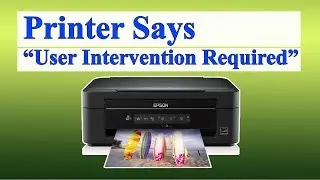 Printer Says User Intervention Required in Windows 10 [Fix]
