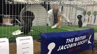 British Jacobin Society Show