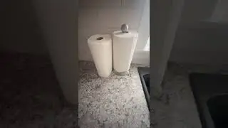 Bounty Essentials Select A Size Paper Towels | Kitchen Tissue