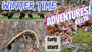 Winter Herping & Adventures Kentucky/ Tennessee 