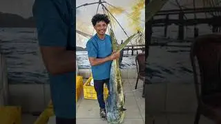We Assure fresh frish#vypin #fishing #fish  #freshfish #travel #freshfishmarket #vlog #kochi #kerala