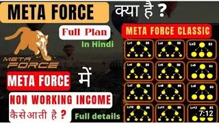 METAFORCE PLAN SANGEETA TAYDE MADAM - META FORCE PLAN HINDI - META FORCE CLASSIC PLAN