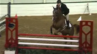 Steve LaPorta & Amerikan Romance - Ledges A1 Jan 2015