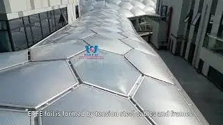 ETFE Cushion Commercial Canopy with Unleash Colorful Charm