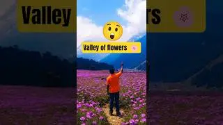 Valley of flowers Yumthang guide | Yumthang Valley flowering Season | Shingba Rhododendron Sanctuary