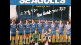 The SEAGULLS (Brighton & Hove Albion) - In Brighton - 1982
