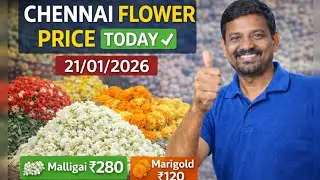 Today Flower Price in Chennai | Koyambedu Flower Market Rate (21-01-2026) 