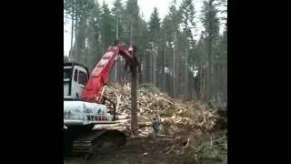 Falling a tree, hydraulic block!