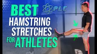 Best Hamstring Stretches For Athletes | Improve Speed And Power