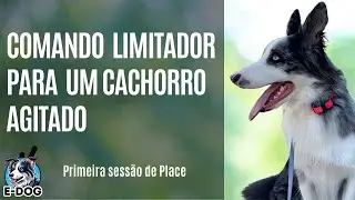 Comando limitador para um cachorro agitado