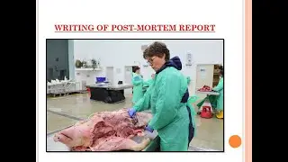 {1} Writing of Post-Mortem Report..#VeterinaryPathology
