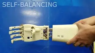Dexter  A Smart Prosthetic Device for Transradial Amputees