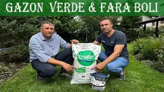 🌱 ThatchEater &ndash; Secretul unui gazon verde intens și rezistent&nbsp;🌿