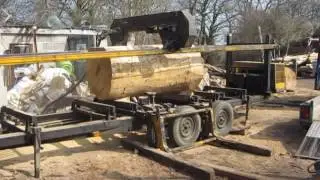 Through sawing large oak log on portable band mill