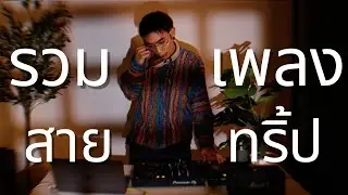 รวมเพลง สายเห็ด (ไม่เมาก็Tripได้) l Trap,Hybrid Trap l  DJ NUCHA l long play